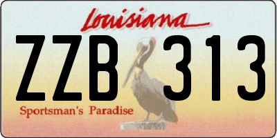 LA license plate ZZB313