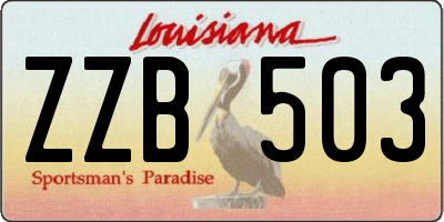 LA license plate ZZB503