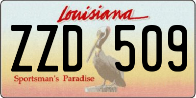 LA license plate ZZD509