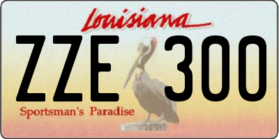 LA license plate ZZE300