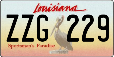 LA license plate ZZG229