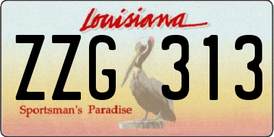 LA license plate ZZG313