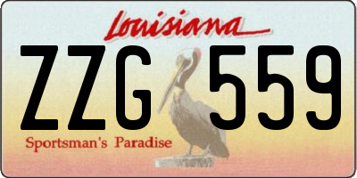 LA license plate ZZG559