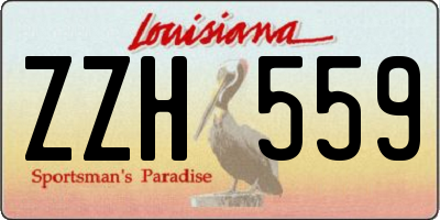 LA license plate ZZH559