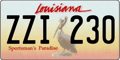 LA license plate ZZI230