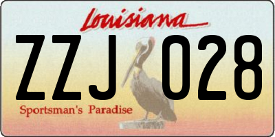 LA license plate ZZJ028