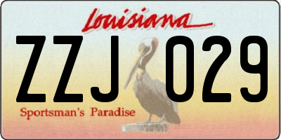 LA license plate ZZJ029