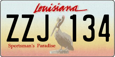 LA license plate ZZJ134