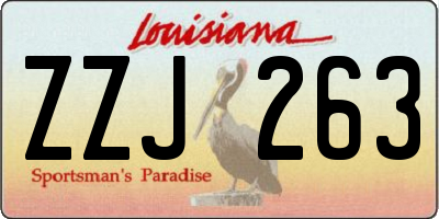 LA license plate ZZJ263