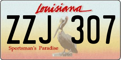 LA license plate ZZJ307