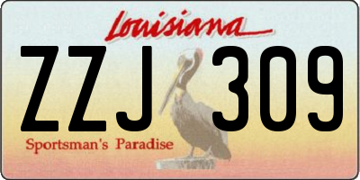 LA license plate ZZJ309