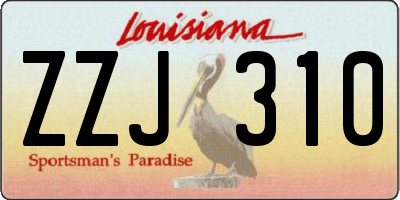 LA license plate ZZJ310