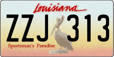 LA license plate ZZJ313