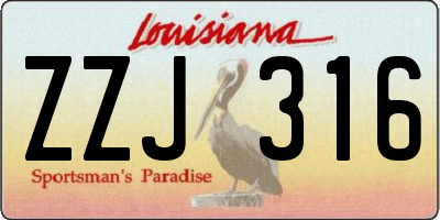 LA license plate ZZJ316