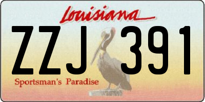 LA license plate ZZJ391