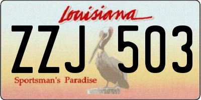 LA license plate ZZJ503