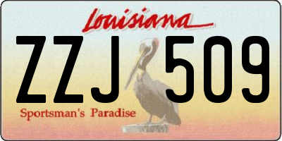 LA license plate ZZJ509