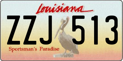 LA license plate ZZJ513