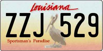 LA license plate ZZJ529