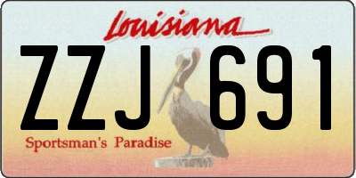 LA license plate ZZJ691