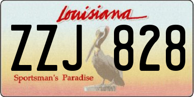 LA license plate ZZJ828