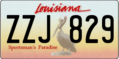 LA license plate ZZJ829