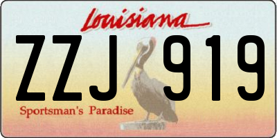 LA license plate ZZJ919