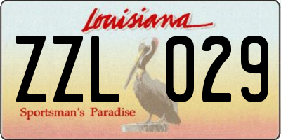 LA license plate ZZL029