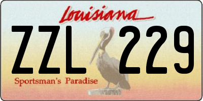 LA license plate ZZL229