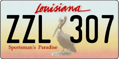 LA license plate ZZL307