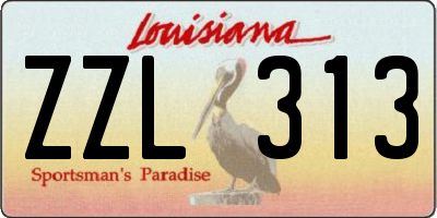 LA license plate ZZL313