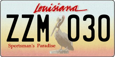 LA license plate ZZM030