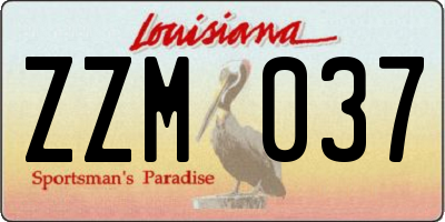 LA license plate ZZM037