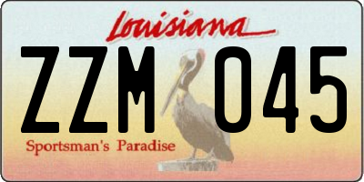 LA license plate ZZM045