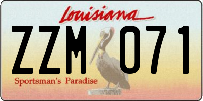 LA license plate ZZM071