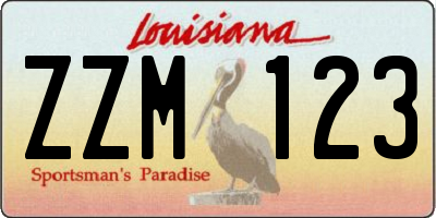 LA license plate ZZM123