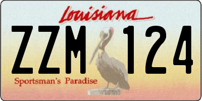 LA license plate ZZM124