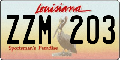 LA license plate ZZM203