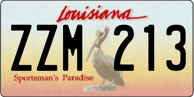 LA license plate ZZM213