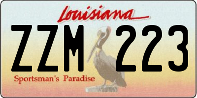 LA license plate ZZM223