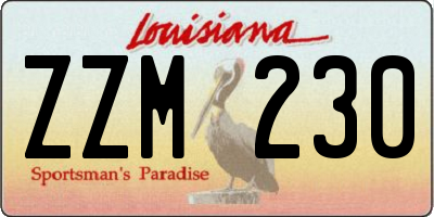 LA license plate ZZM230