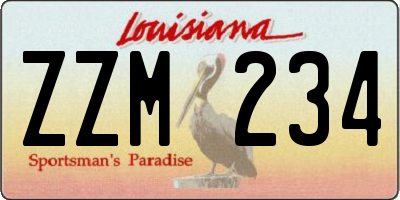 LA license plate ZZM234