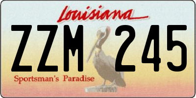 LA license plate ZZM245