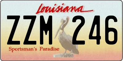 LA license plate ZZM246