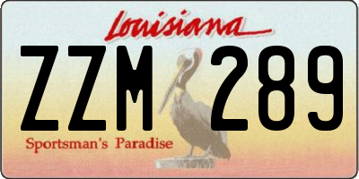 LA license plate ZZM289