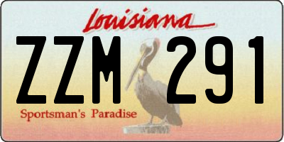 LA license plate ZZM291