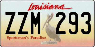 LA license plate ZZM293