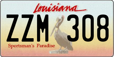LA license plate ZZM308