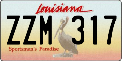 LA license plate ZZM317