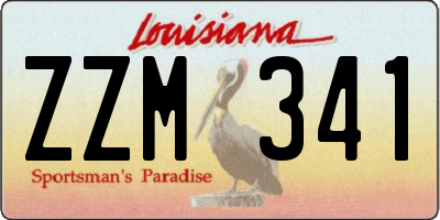 LA license plate ZZM341